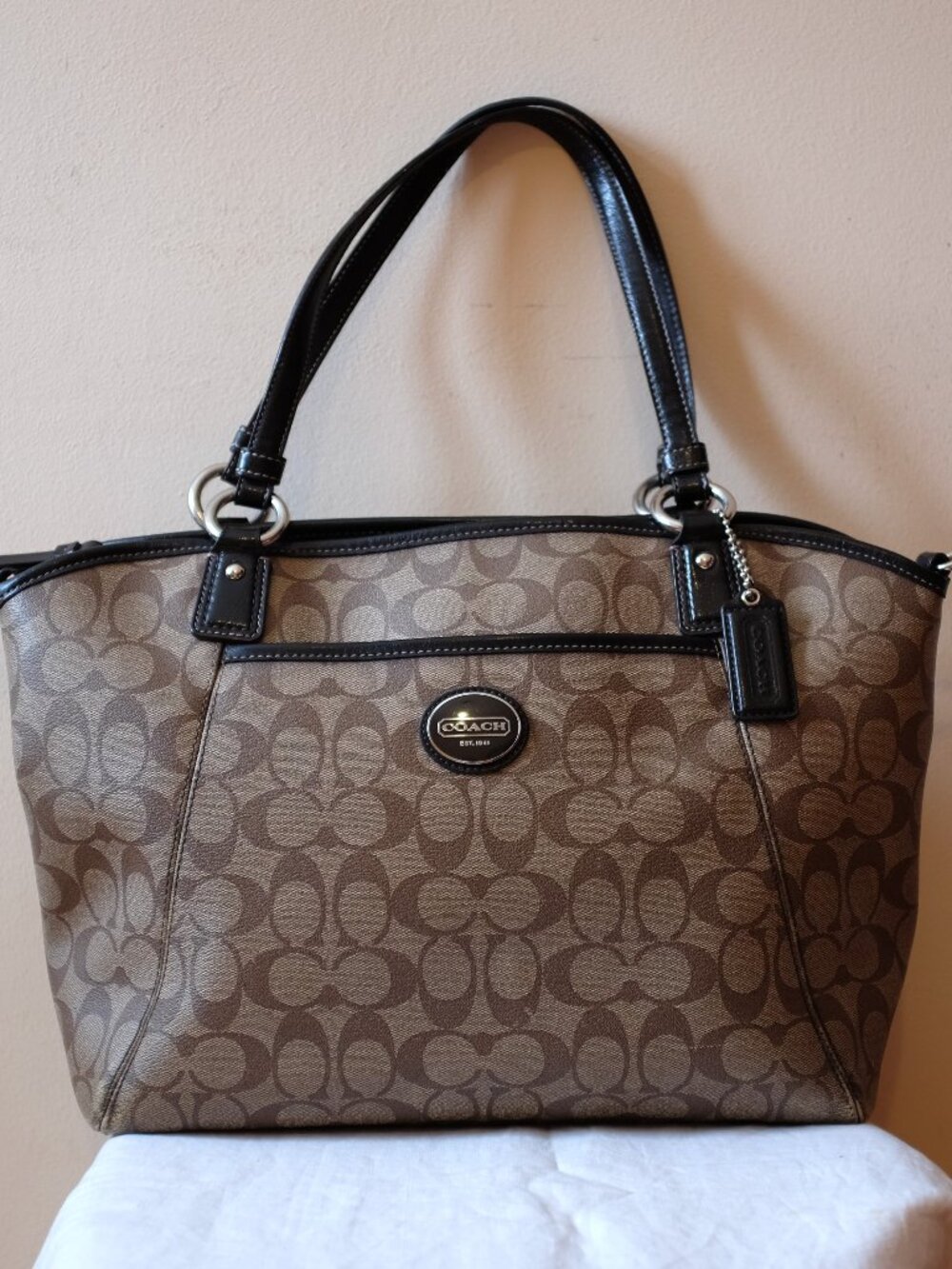 Coach Peyton Signature Tote bag